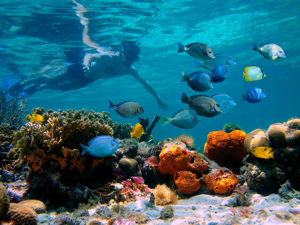 Snorkel en Puerto Plata